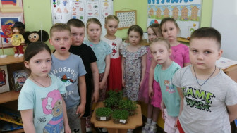 Проект „Зелёная лаборатория: выращиваем микрозелень“.